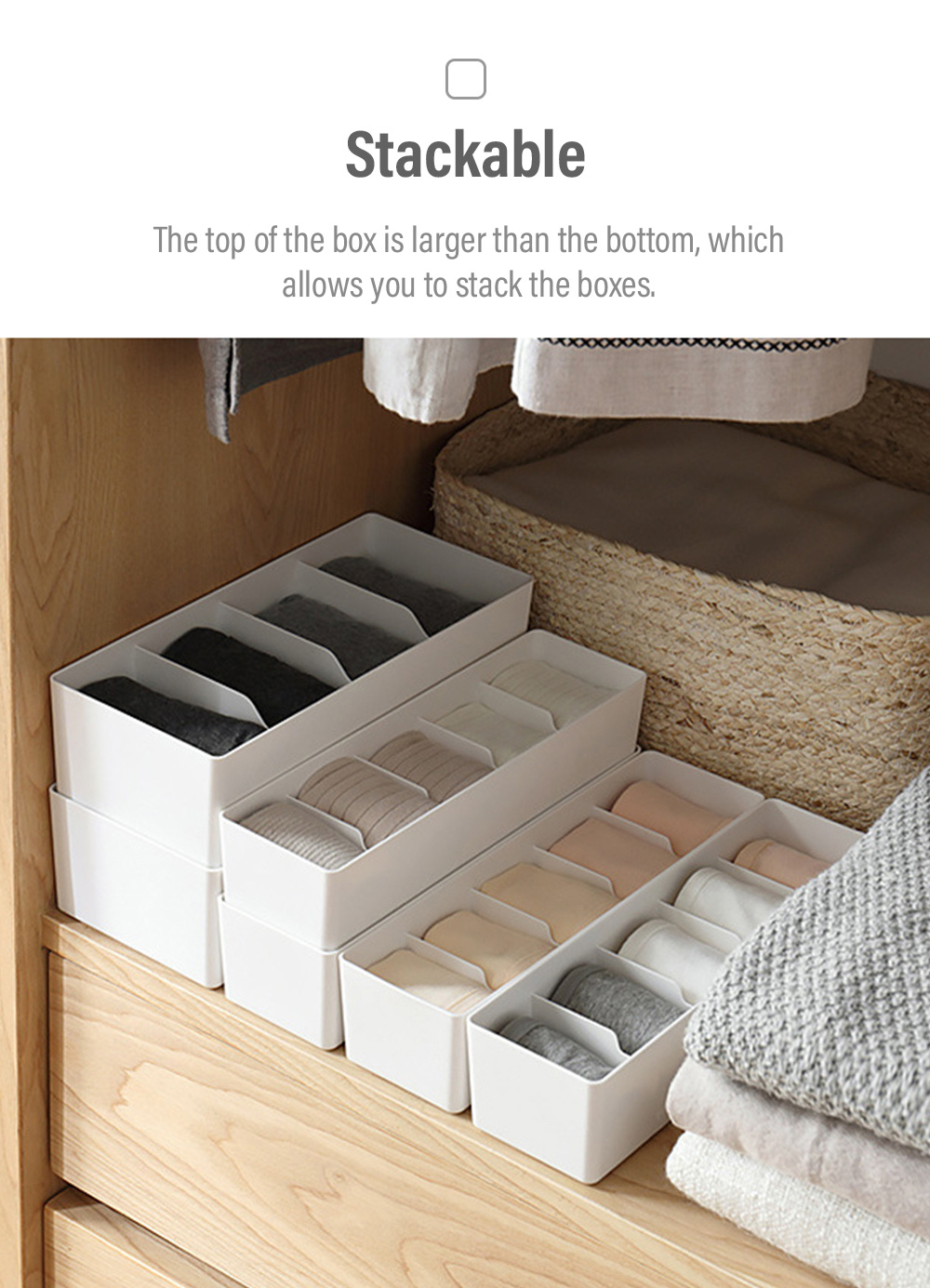 Multi-compartment-Organizer-PP-3